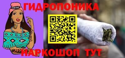 spice Рыбинск