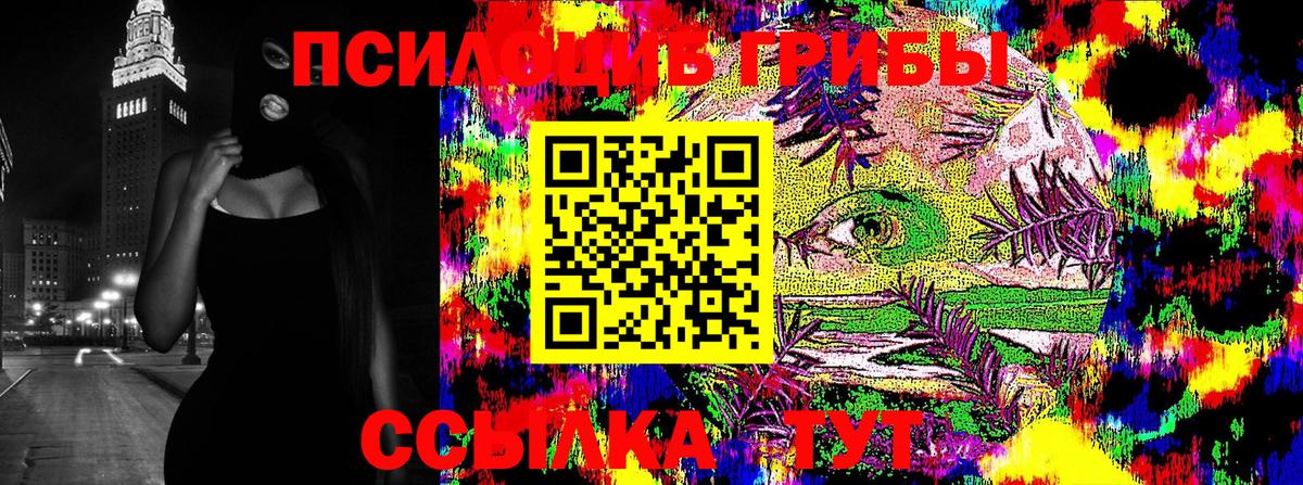 Галлюциногенные грибы Psilocybine cubensis Ртищево